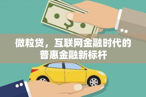 田家庵微粒贷，互联网金融时代的普惠金融新标杆