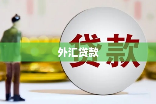 田家庵外汇贷款