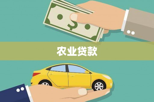 田家庵农业贷款
