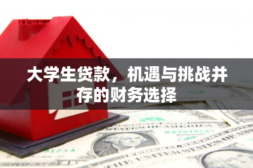 田家庵大学生贷款，机遇与挑战并存的财务选择
