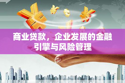 田家庵商业贷款，企业发展的金融引擎与风险管理