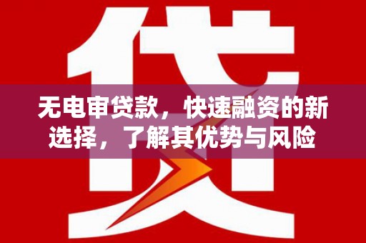 田家庵无电审贷款，快速融资的新选择，了解其优势与风险