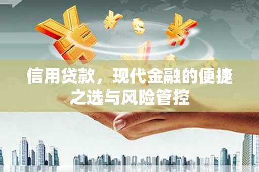 田家庵信用贷款，现代金融的便捷之选与风险管控