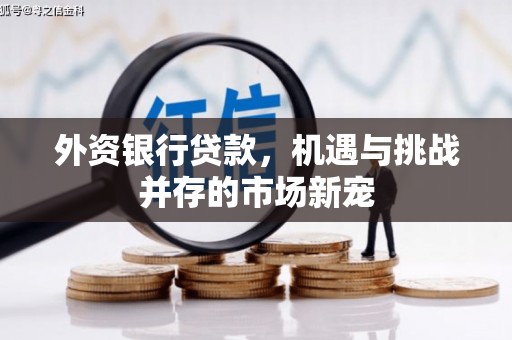 田家庵外资银行贷款，机遇与挑战并存的市场新宠