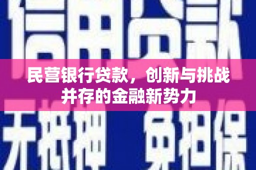 田家庵民营银行贷款，创新与挑战并存的金融新势力