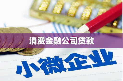 田家庵消费金融公司贷款
