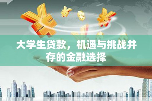 田家庵大学生贷款，机遇与挑战并存的金融选择