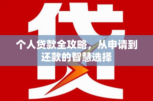 田家庵个人贷款全攻略，从申请到还款的智慧选择