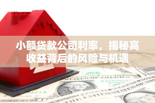 田家庵小额贷款公司利率，揭秘高收益背后的风险与机遇