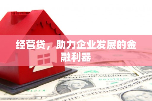 田家庵经营贷，助力企业发展的金融利器