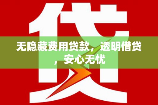 田家庵无隐藏费用贷款，透明借贷，安心无忧