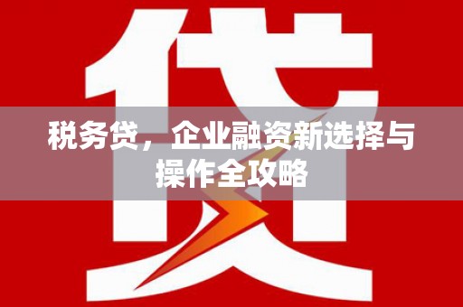 田家庵税务贷，企业融资新选择与操作全攻略