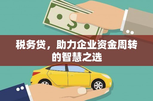 田家庵税务贷，助力企业资金周转的智慧之选