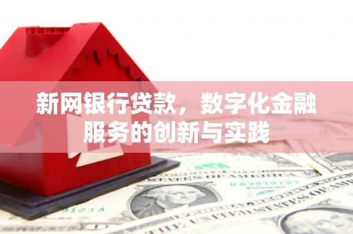 田家庵新网银行贷款，数字化金融服务的创新与实践