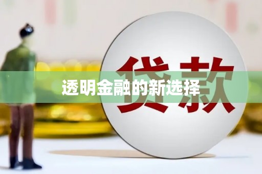 田家庵透明金融的新选择