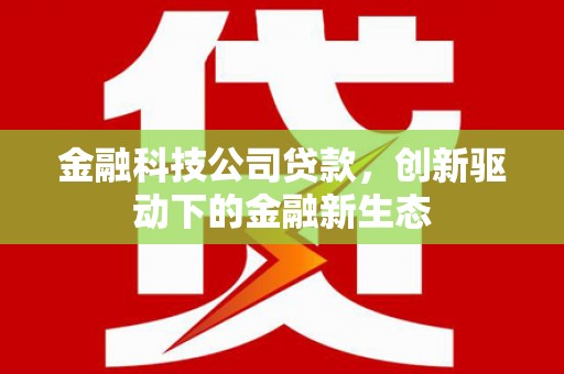 田家庵金融科技公司贷款，创新驱动下的金融新生态