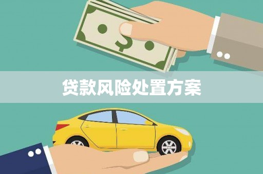 田家庵贷款风险处置方案