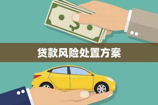 田家庵贷款风险处置方案