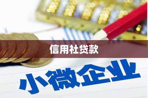 田家庵信用社贷款