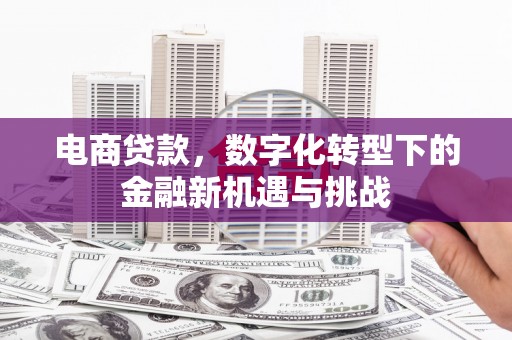 田家庵电商贷款，数字化转型下的金融新机遇与挑战