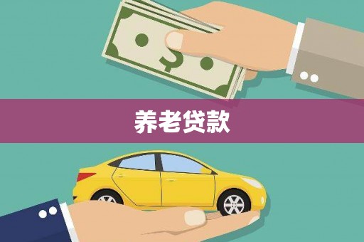 田家庵养老贷款