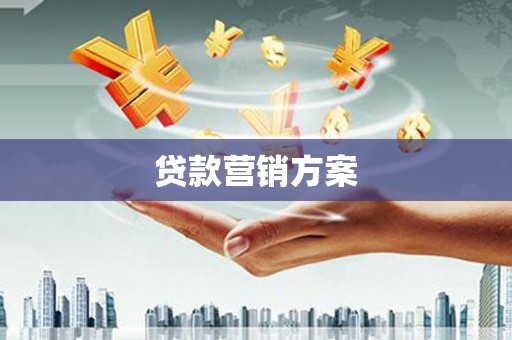 田家庵贷款营销方案