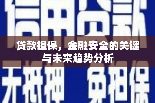 田家庵贷款担保，金融安全的关键与未来趋势分析