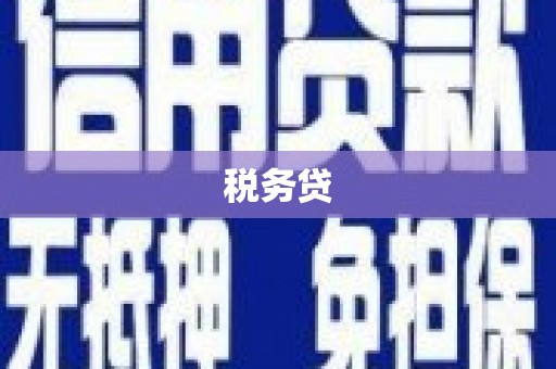 田家庵税务贷