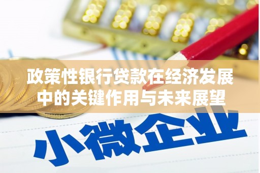 田家庵政策性银行贷款在经济发展中的关键作用与未来展望