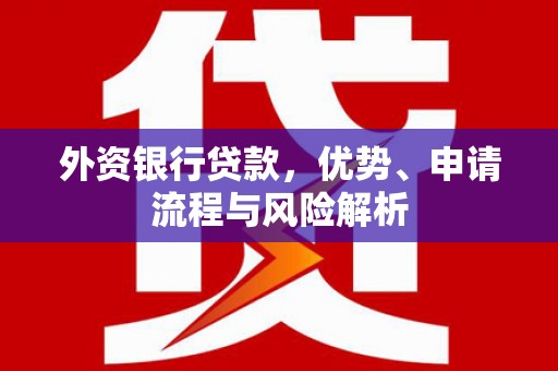 田家庵外资银行贷款，优势、申请流程与风险解析
