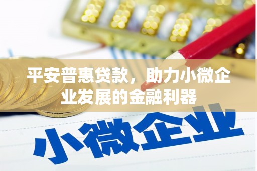 田家庵平安普惠贷款，助力小微企业发展的金融利器