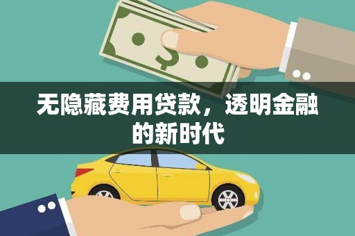 田家庵无隐藏费用贷款，透明金融的新时代