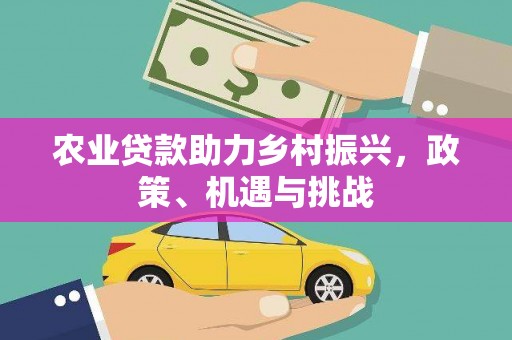 田家庵农业贷款助力乡村振兴，政策、机遇与挑战