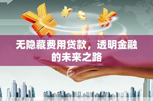 田家庵无隐藏费用贷款，透明金融的未来之路