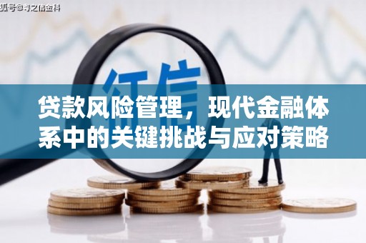 田家庵贷款风险管理，现代金融体系中的关键挑战与应对策略