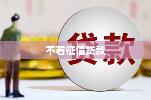 田家庵不看征信贷款