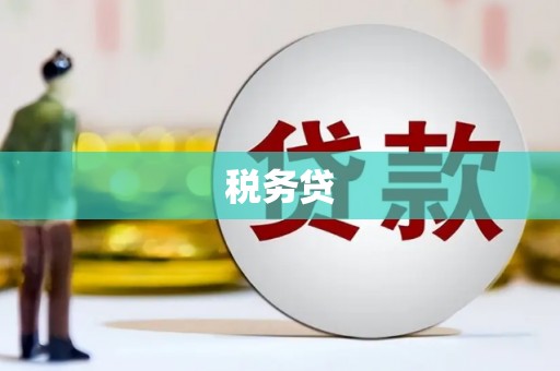 田家庵税务贷