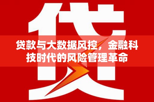 田家庵贷款与大数据风控，金融科技时代的风险管理革命