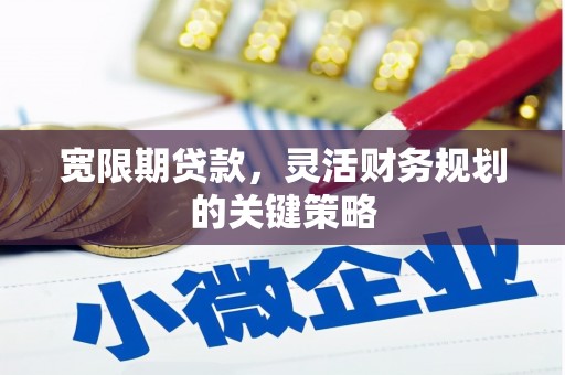 田家庵宽限期贷款，灵活财务规划的关键策略
