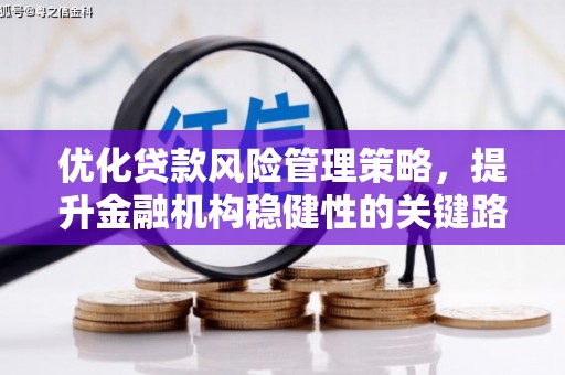 田家庵优化贷款风险管理策略，提升金融机构稳健性的关键路径