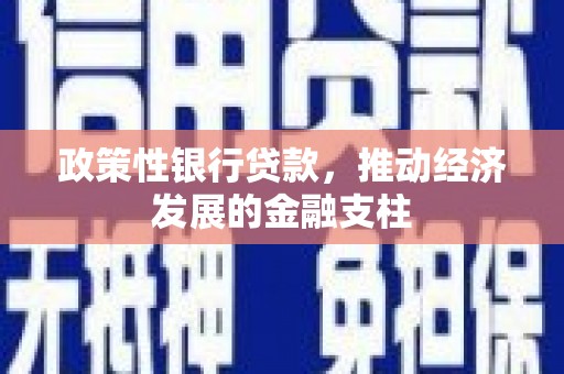 田家庵政策性银行贷款，推动经济发展的金融支柱
