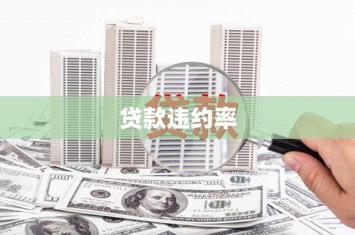 田家庵贷款违约率