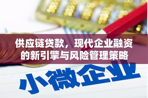 田家庵供应链贷款，现代企业融资的新引擎与风险管理策略