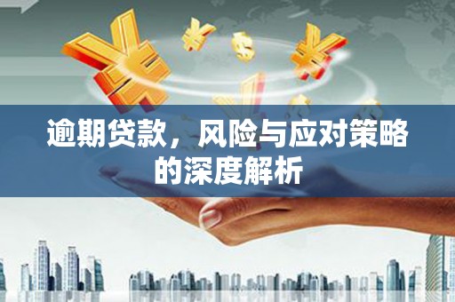 田家庵逾期贷款，风险与应对策略的深度解析