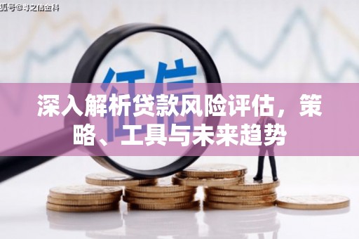 田家庵深入解析贷款风险评估，策略、工具与未来趋势