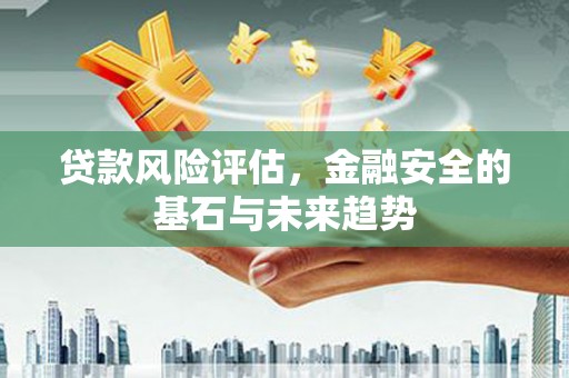 田家庵贷款风险评估，金融安全的基石与未来趋势