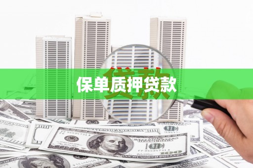 田家庵保单质押贷款