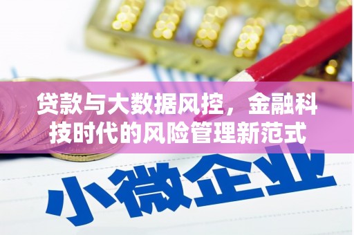 田家庵贷款与大数据风控，金融科技时代的风险管理新范式