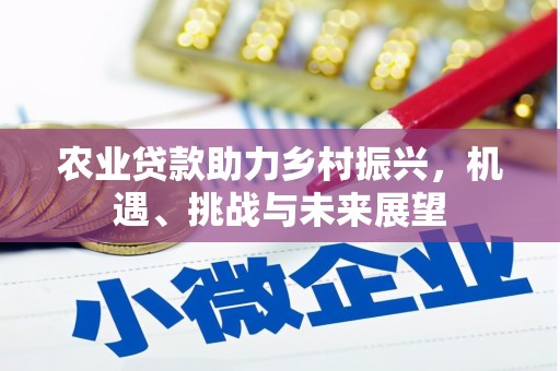 田家庵农业贷款助力乡村振兴，机遇、挑战与未来展望