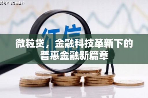 田家庵微粒贷，金融科技革新下的普惠金融新篇章